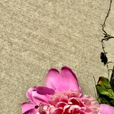 Entry image for Side by Side
