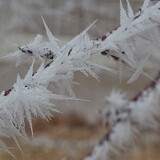 Entry image for Ice