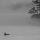 Entry image for Cruising on the Dawn Patrol