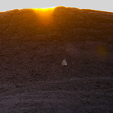 Entry image for Sunrise on an Elephant