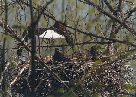 Entry image for Lunch Time!. Clicking this image will show a larger photo