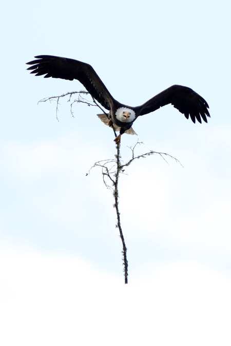 Entry image for Home Improvements. Clicking this image will show a larger photo