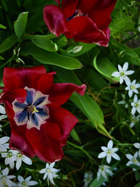 Entry image for Finders . Clicking this image will show a larger photo