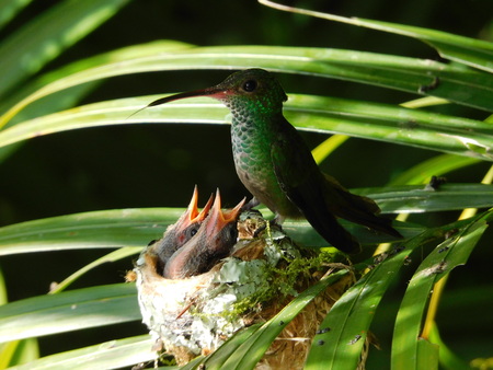 Entry image for Missed You. Clicking this image will show a larger photo