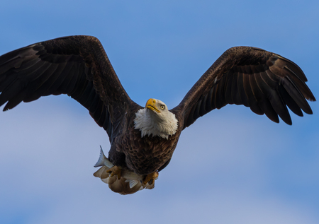Entry image for Raw Power. Clicking this image will show a larger photo