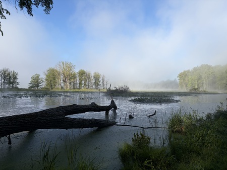 Entry image for Early Morning. Clicking this image will show a larger photo