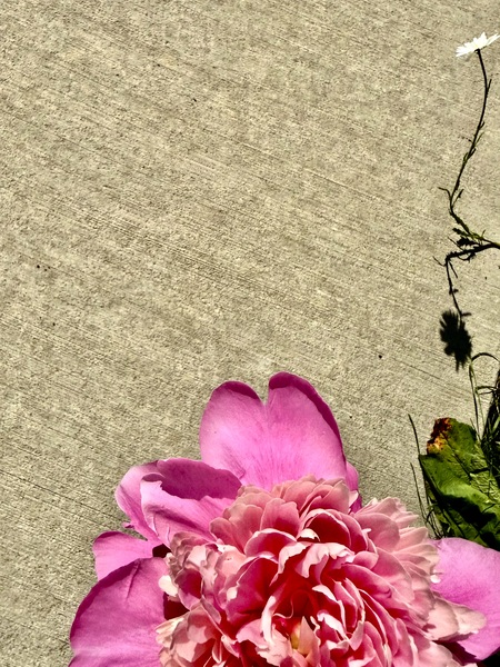 Entry image for Side by Side. Clicking this image will show a larger photo