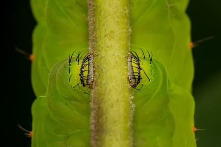 Entry image for Holding Fast. Clicking this image will show a larger photo