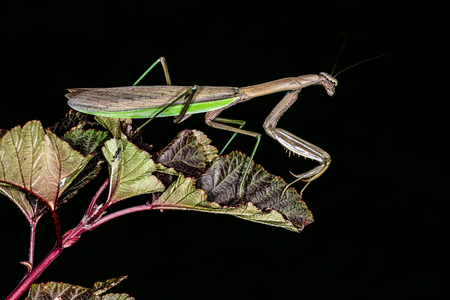 Entry image for HANGING OUT. Clicking this image will show a larger photo