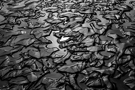 Entry image for Sand Patterns. Clicking this image will show a larger photo