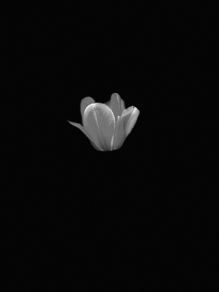 Entry image for Light in the dark. Clicking this image will show a larger photo