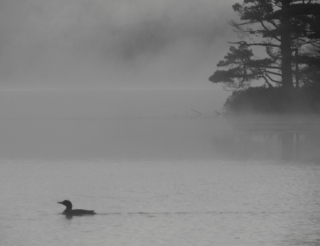 Entry image for Cruising on the Dawn Patrol. Clicking this image will show a larger photo