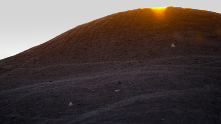 Entry image for Sunrise on an Elephant. Clicking this image will show a larger photo