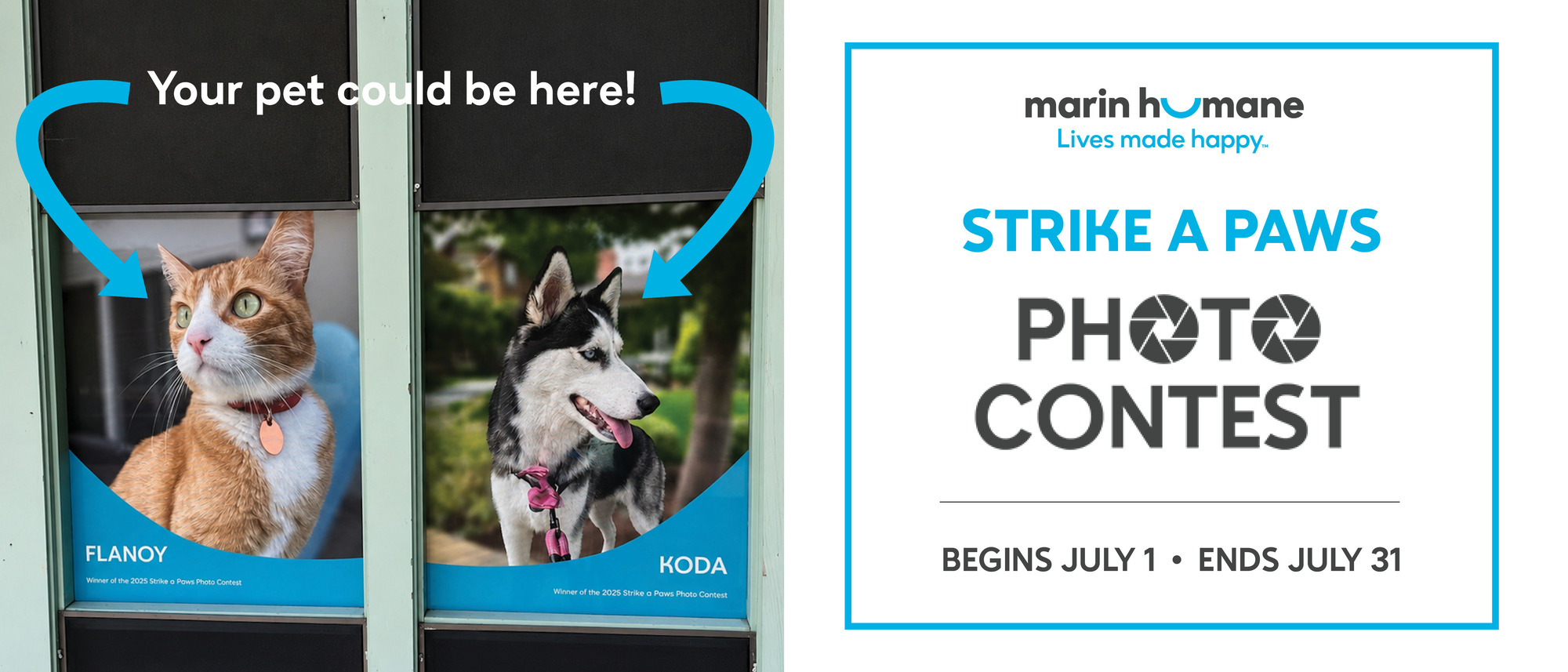 Banner for Marin Humane Strike A Paws Photo Contest