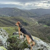 Entry image for Maia