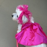 Entry image for Princess