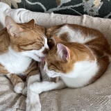 Entry image for Buster and Joey