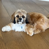 Entry image for Toby