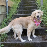 Entry image for Livvy