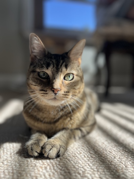 Entry image for Meggy. Clicking this image will show a larger photo