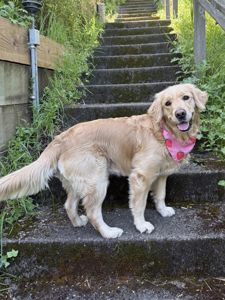 Entry image for Livvy. Clicking this image will show a larger photo