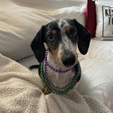 Entry image for Roxi Merritt