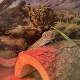 Entry image for Randal