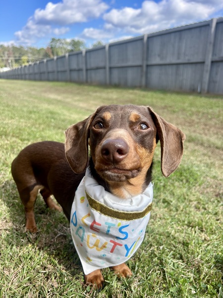 Entry image for Max. Clicking this image will show a larger photo