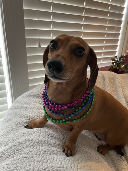 Entry image for Roo Merritt. Clicking this image will show a larger photo