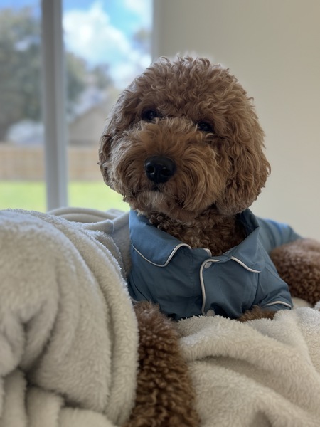 Entry image for Armani . Clicking this image will show a larger photo