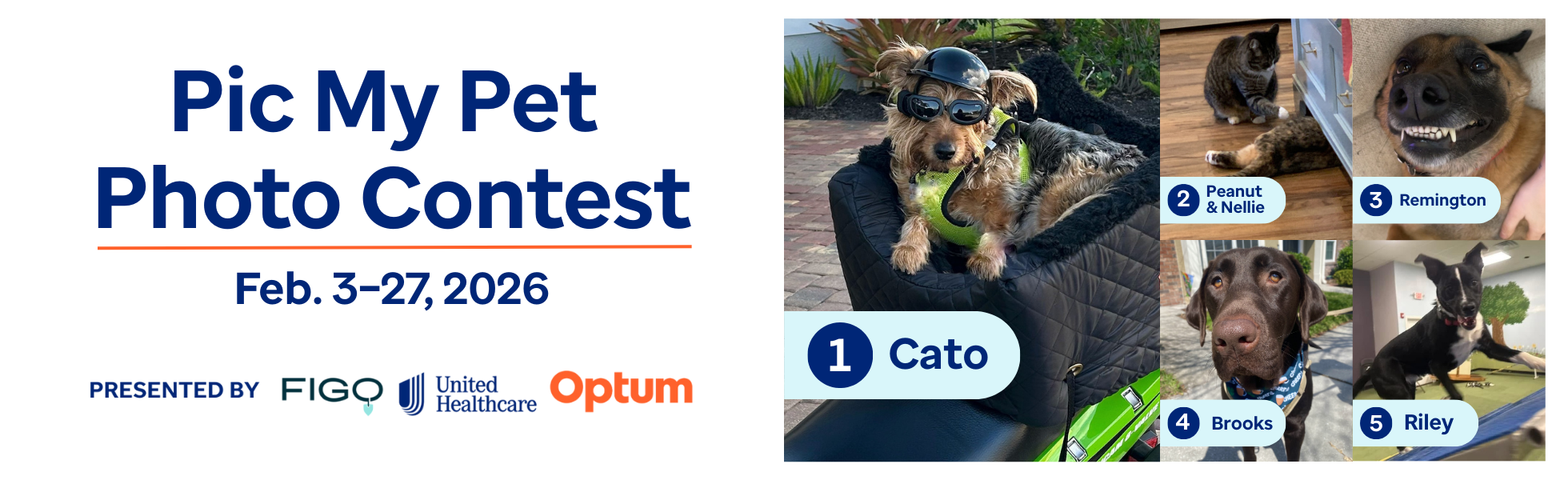 Banner for UHCCF's Pic My Pet Photo Contest