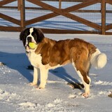 Entry image for Lincoln