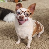 Entry image for Geraldine