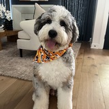 Entry image for Miles