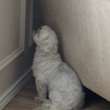 Entry image for Topher 