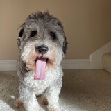 Entry image for Tommy