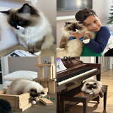 Entry image for Fifi