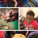 Entry image for Comet