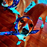 Entry image for NaTakey & Hermione 