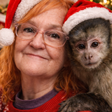 Entry image for Rowdy