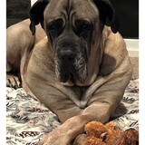 Entry image for Camden