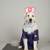 Entry image for McGee