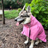 Entry image for Sabrina