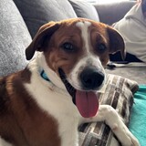 Entry image for Gene