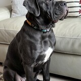 Entry image for Linkin (as in Linkin Park)