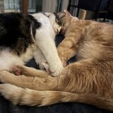 Entry image for Lightning McQueen & Mater