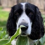 Entry image for Lucy Dee