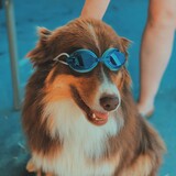 Entry image for Phil