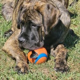 Entry image for Kingston