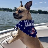 Entry image for Aspyn